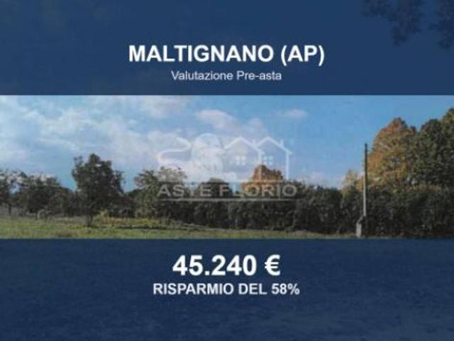 Immobile in asta di 7944 m in vendita a Maltignano