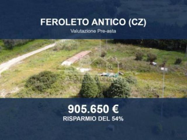 Immobile in asta di 79900 m in vendita a Feroleto Antico