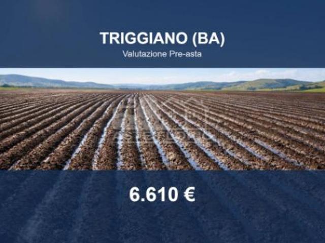 Immobile in asta di 7083 m in vendita a Triggiano