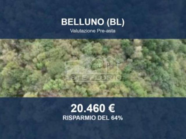 Immobile in asta di 71337 m in vendita a Belluno