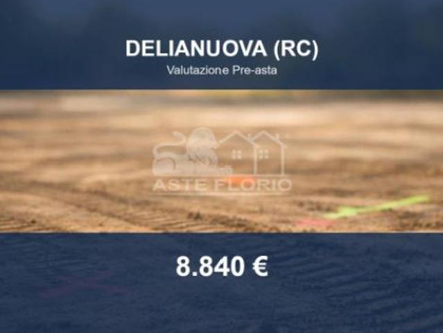 Immobile in asta di 7133 m in vendita a Delianuova