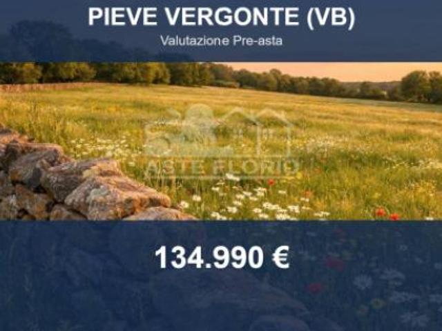 Immobile in asta di 7151 m in vendita a Pieve Vergonte