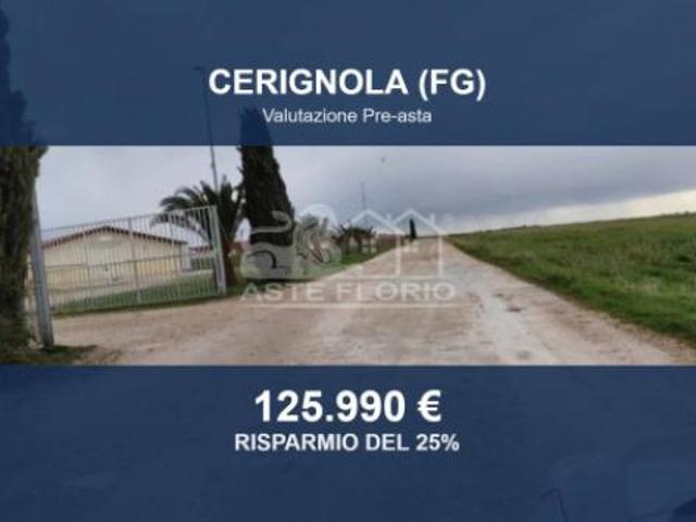 Immobile in asta di 72000 m in vendita a Cerignola