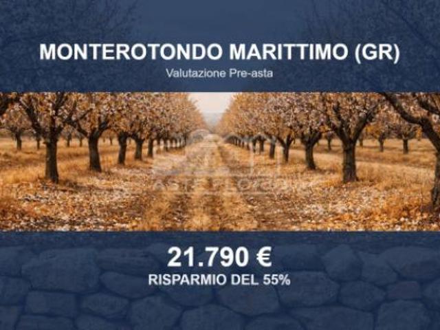 Immobile in asta di 72094 m in vendita a Monterotondo Marittimo