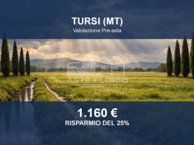 Immobile in asta di 7214 m in vendita a Tursi