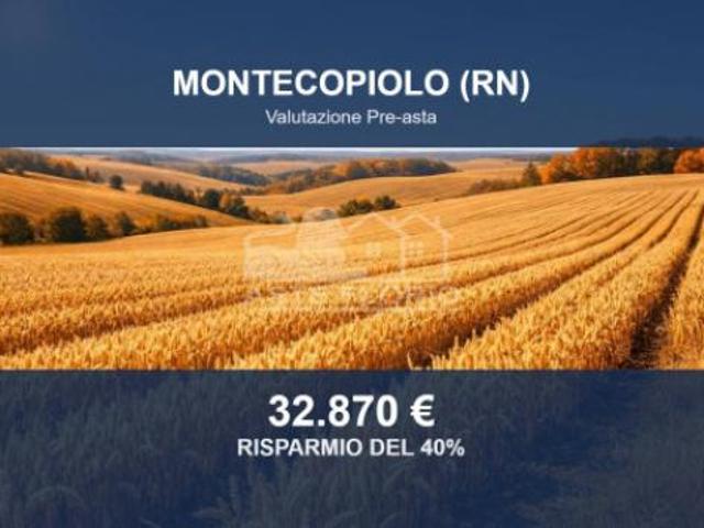 Immobile in asta di 72496 m in vendita a Montecopiolo