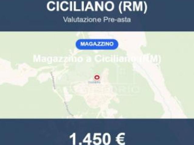 Immobile in asta di 7 m in vendita a Ciciliano