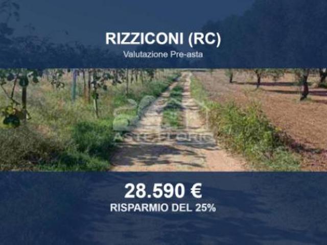 Immobile in asta di 8474 m in vendita a Rizziconi