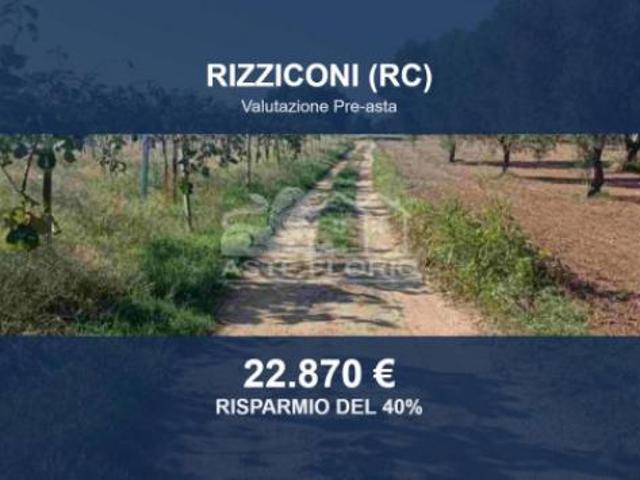 Immobile in asta di 8474 m in vendita a Rizziconi
