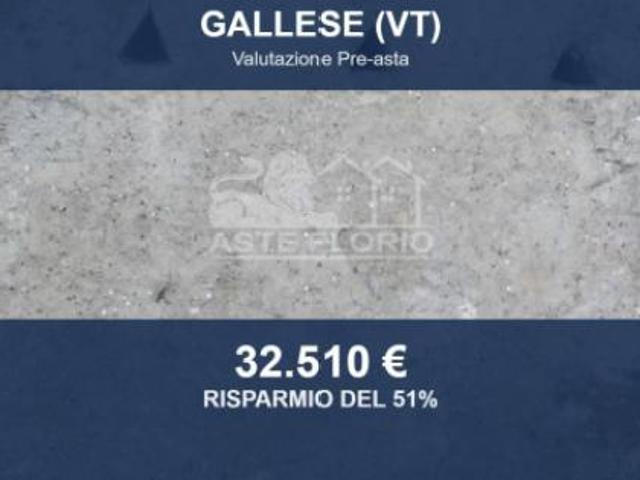 Immobile in asta di 85 m con più di 5 locali in vendita a Gallese