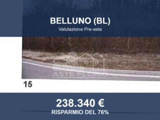Immobile in asta di 87578 m in vendita a Belluno