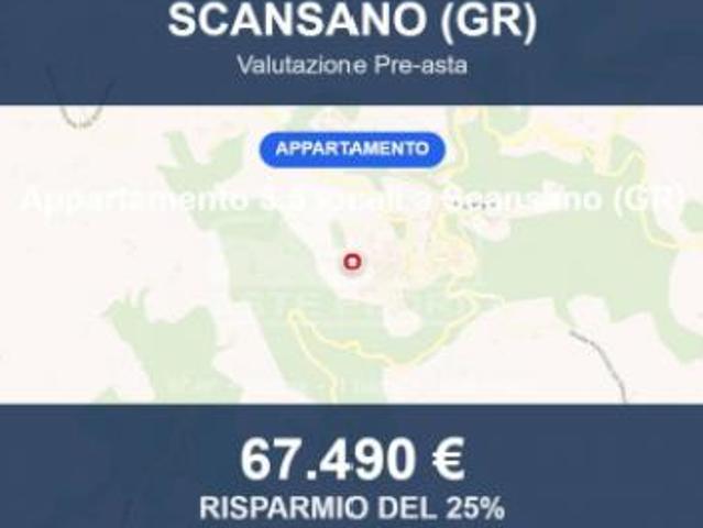 Immobile in asta di 87 m, box auto in vendita a Scansano