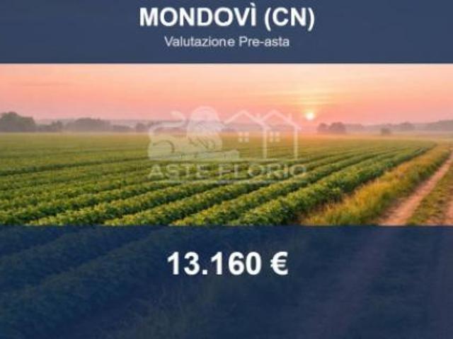 Immobile in asta di 880 m in vendita a Mondovì
