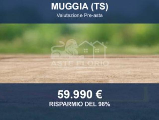 Immobile in asta di 88619 m in vendita a Muggia