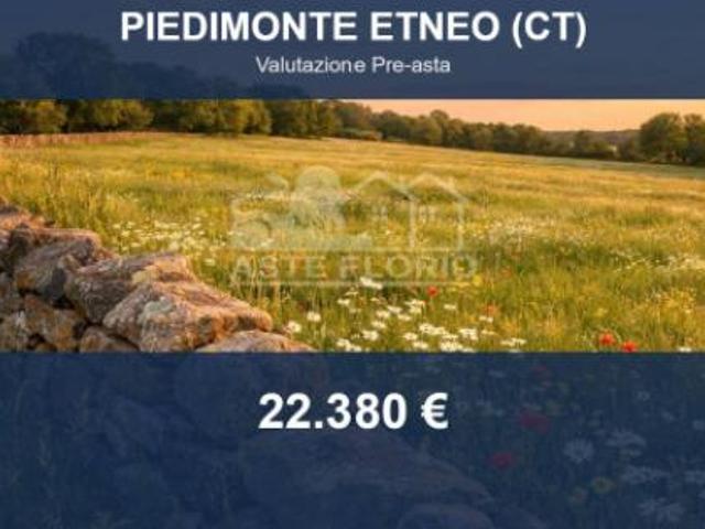 Immobile in asta di 8963 m in vendita a Piedimonte Etneo