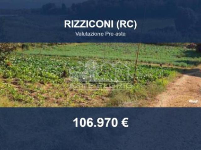 Immobile in asta di 8975 m in vendita a Rizziconi