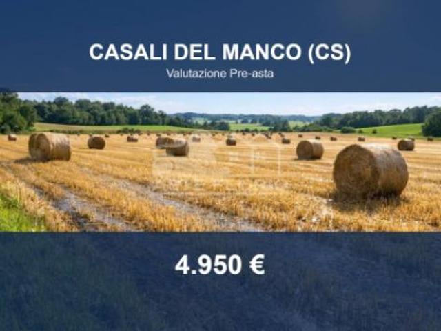 Immobile in asta di 8070 m in vendita a Casali del Manco