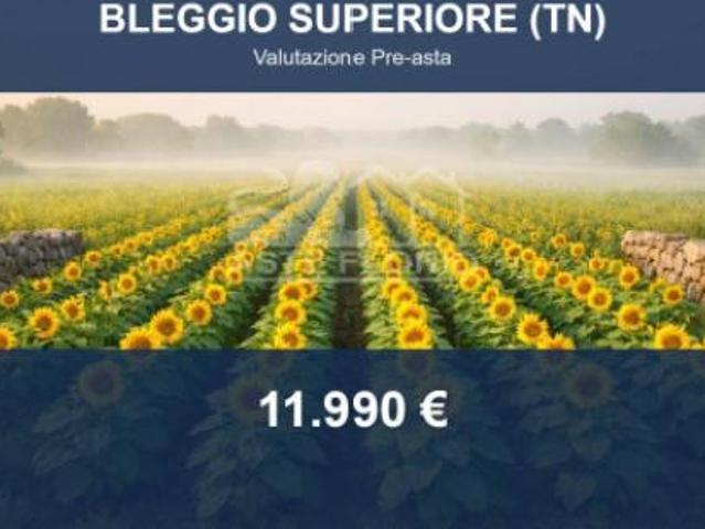 Immobile in asta di 8201 m in vendita a Bleggio Superiore