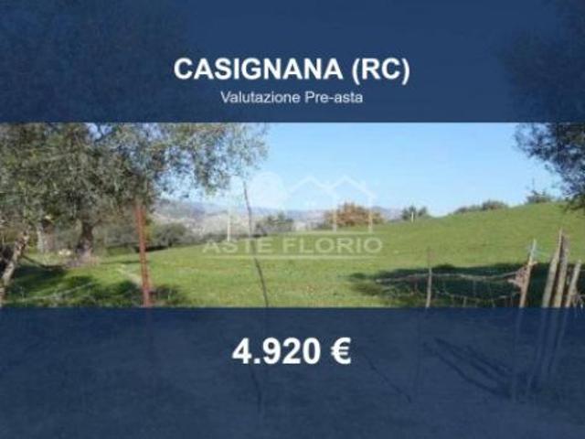 Immobile in asta di 8220 m in vendita a Casignana