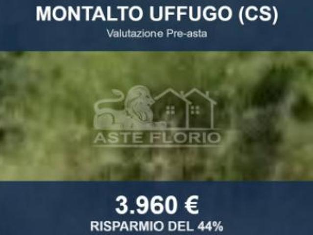 Immobile in asta di 830 m in vendita a Montalto Uffugo