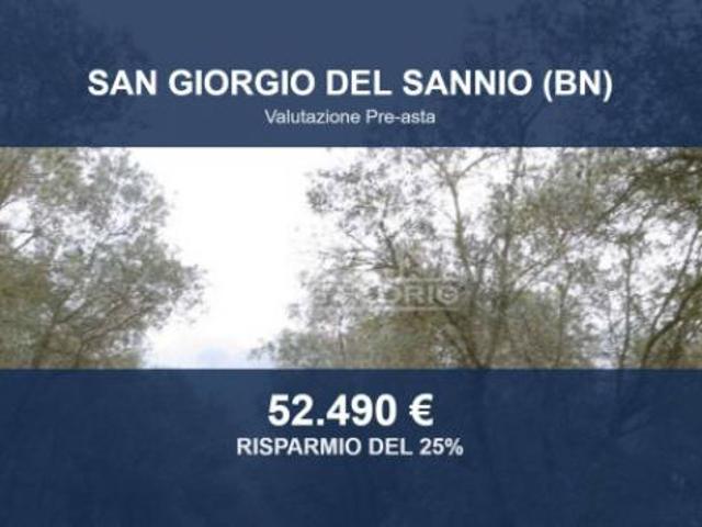 Immobile in asta di 94562 m in vendita a San Giorgio del Sannio