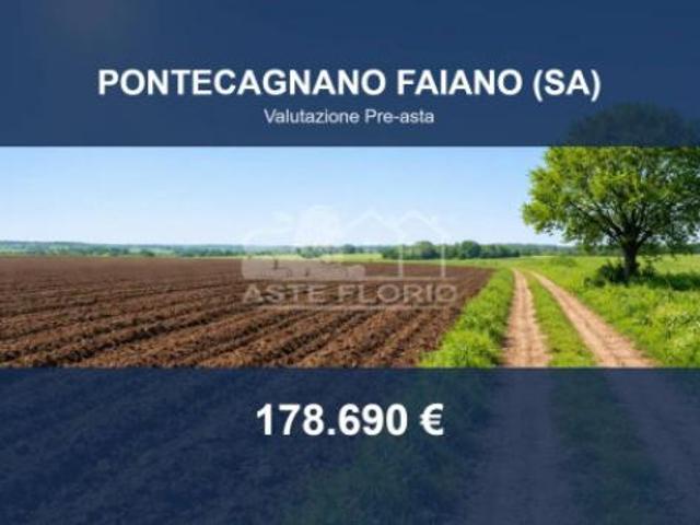 Immobile in asta di 9457 m in vendita a Pontecagnano Faiano