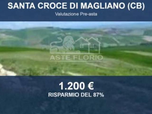 Immobile in asta di 9460 m in vendita a Santa Croce di Magliano
