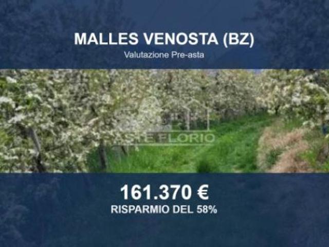 Immobile in asta di 9480 m in vendita a Malles Venosta