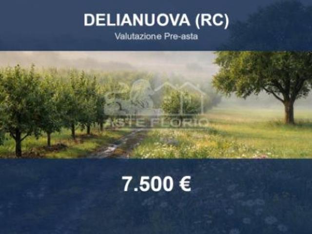 Immobile in asta di 9490 m in vendita a Delianuova