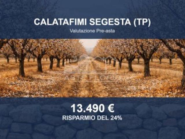 Immobile in asta di 9530 m in vendita a Calatafimi Segesta