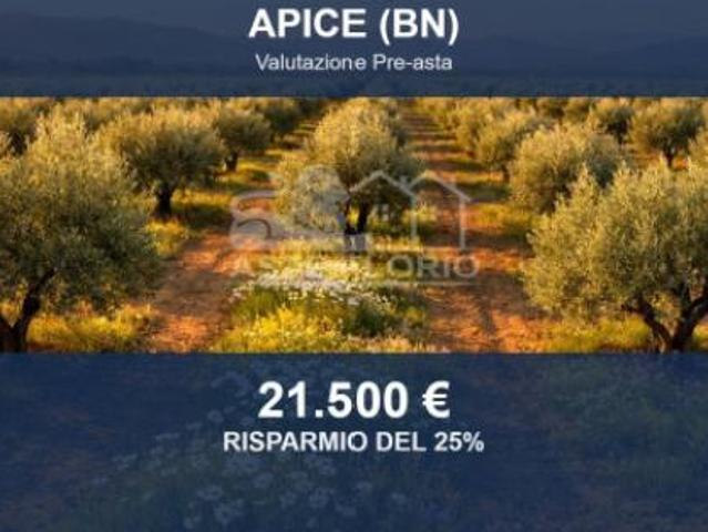 Immobile in asta di 9560 m in vendita a Apice