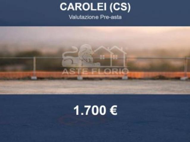 Immobile in asta di 95 m in vendita a Carolei