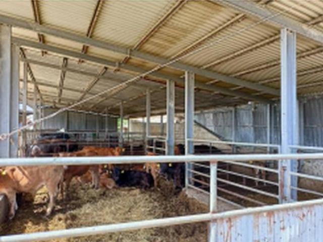 Immobile in asta di 96 m in vendita a Pisticci