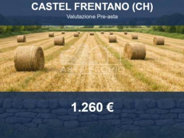 Immobile in asta di 97720 m in vendita a Castel Frentano
