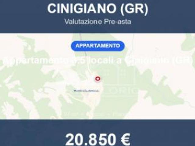 Immobile in asta di 97 m in vendita a Cinigiano