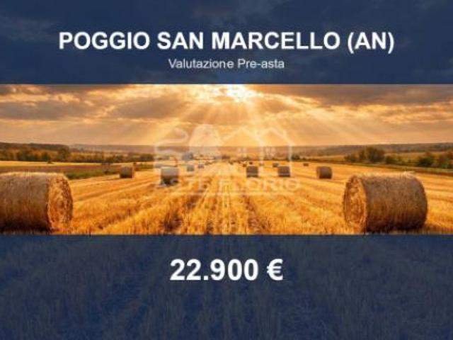 Immobile in asta di 98631 m in vendita a Poggio San Marcello