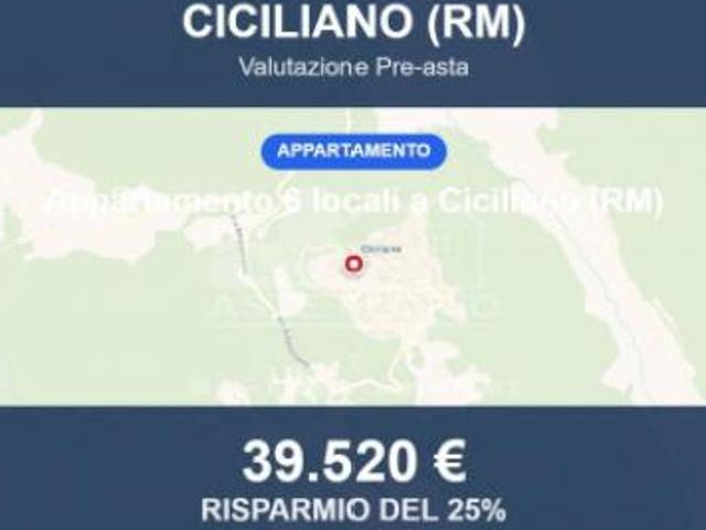 Immobile in asta di 98 m in vendita a Ciciliano