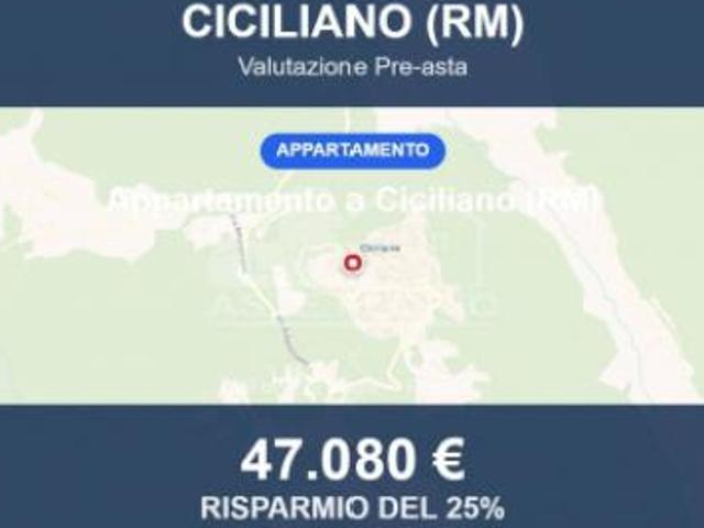 Immobile in asta di 90 m in vendita a Ciciliano