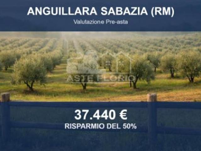 Immobile in asta di 9390 m in vendita a Anguillara Sabazia