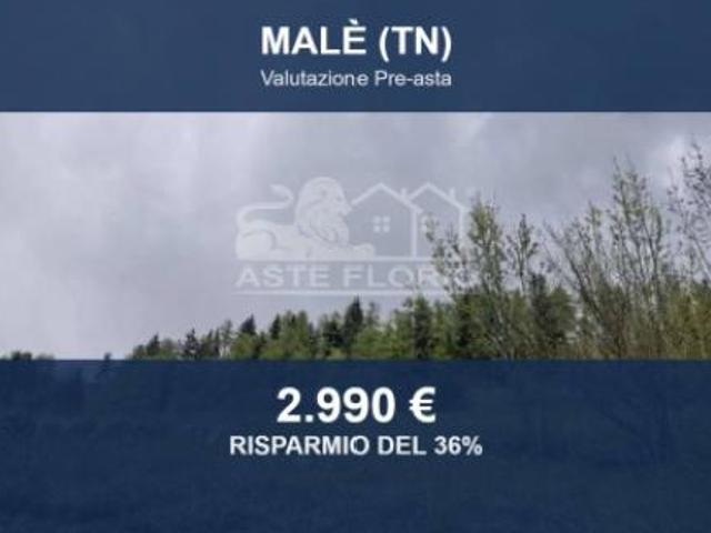 Immobile in asta di 939 m in vendita a Malè