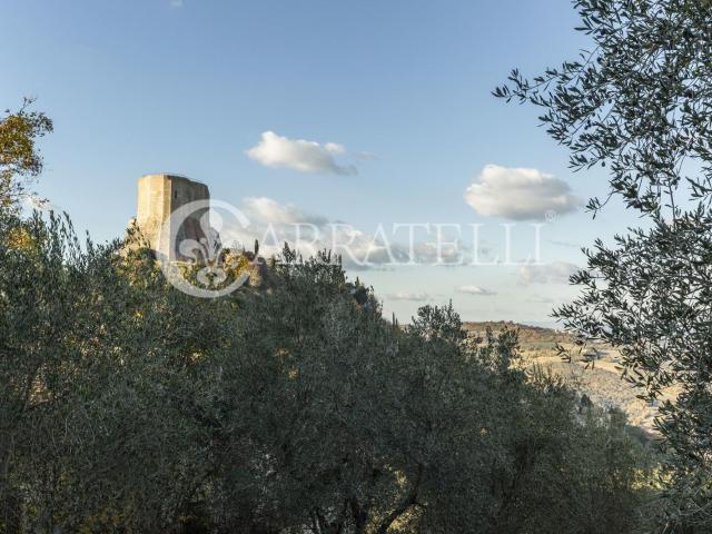 Immobile indipendente da ristrutturare di circa 300 mq total. 300m² Castiglione d'Orcia