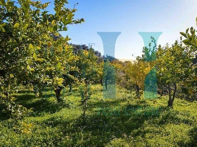 Immobile residenziale in vendita a Noto