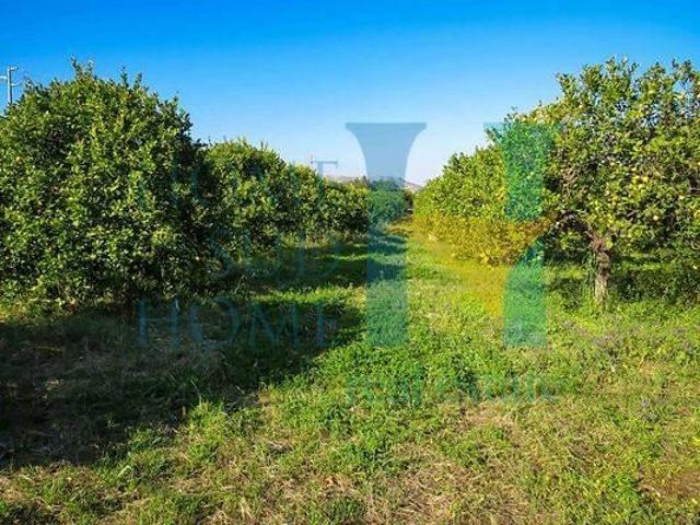 Immobile residenziale in vendita a Noto