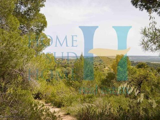 Immobile residenziale in vendita a Noto