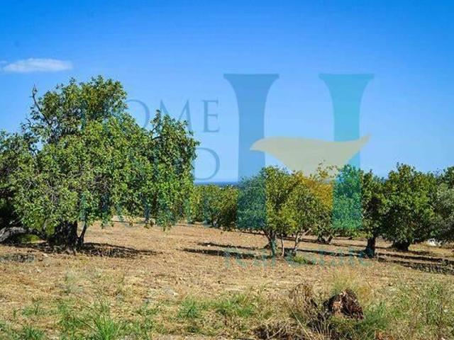 Immobile residenziale in vendita a Noto