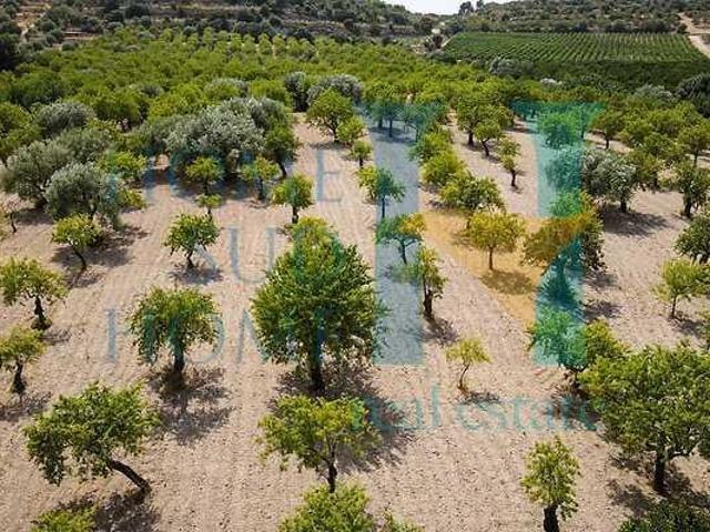Immobile residenziale in vendita a Noto