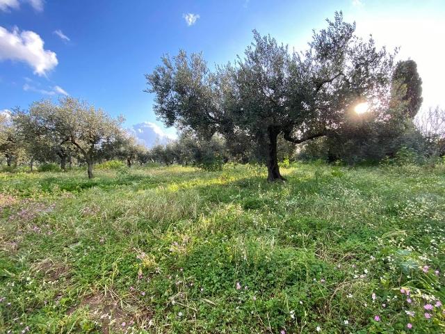 Immobile residenziale in vendita a Castelvetrano