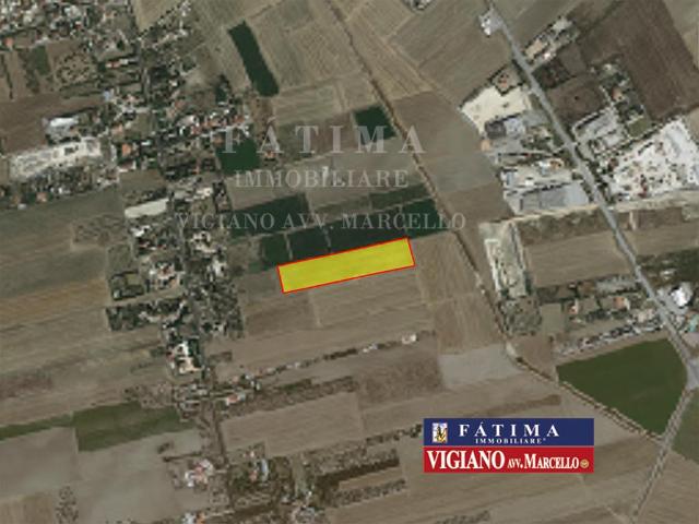 Immobile residenziale in vendita a Foggia