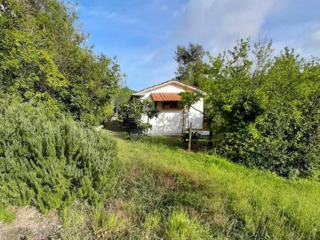 Immobile residenziale in vendita a Rosignano Marittimo