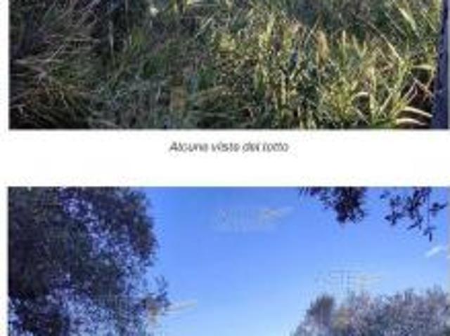 IMMOBILI ALTRA CATEGORIA